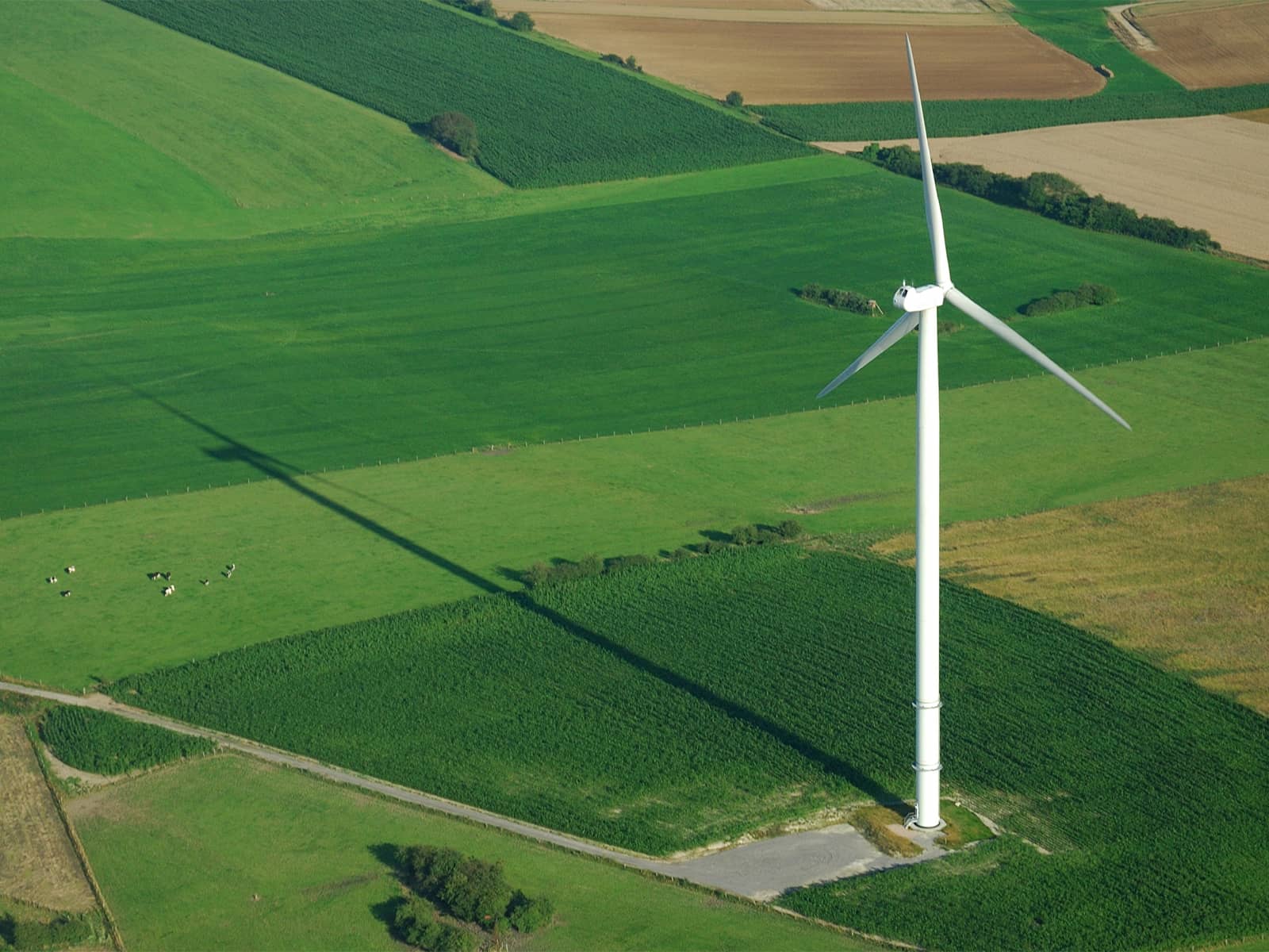 Vindstrøm er vedvarende energi, der er produceret af vindmøller. Dyk ned i hvordan vindenergi fungerer, og hvordan vindstrøm kommer ind i elnettet.