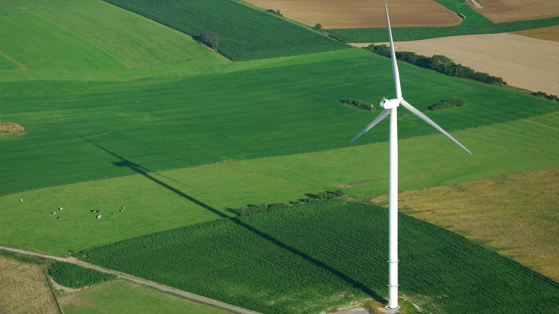 Vindstrøm er vedvarende energi, der er produceret af vindmøller. Dyk ned i hvordan vindenergi fungerer, og hvordan vindstrøm kommer ind i elnettet.