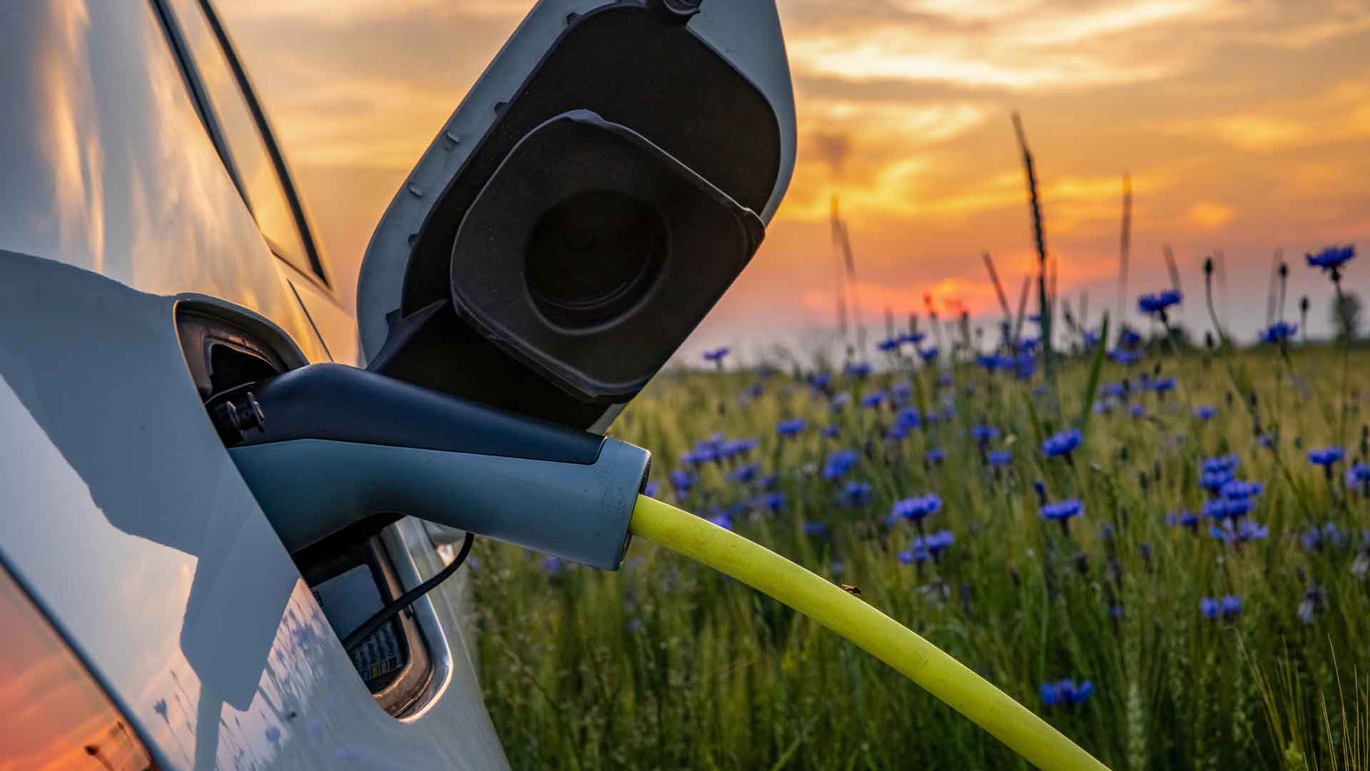 Elbil lader ved mark ved solnedgang. Er elbiler bedre for miljøet sammenlignet med fossile biler? Det dykker vi ned i her.